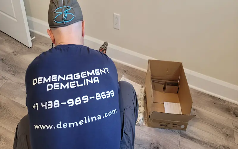 Équipe de déménageurs professionnels Demelina à Saint-Laurent